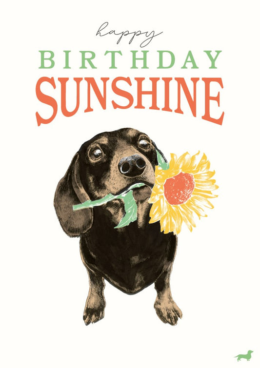 2-osainen kortti The Art File - Sunshine