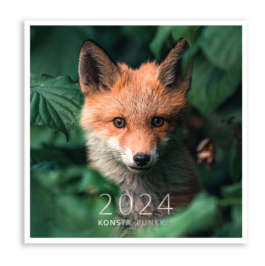 Small wall calendar - Konsta Punkka 2024