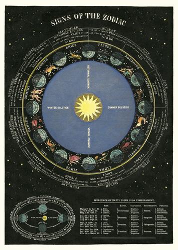 Poster Cavallini - Zodiac Chart
