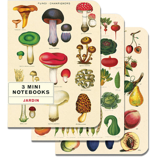 Muistikirjasetti Cavallini mini - Le Jardin