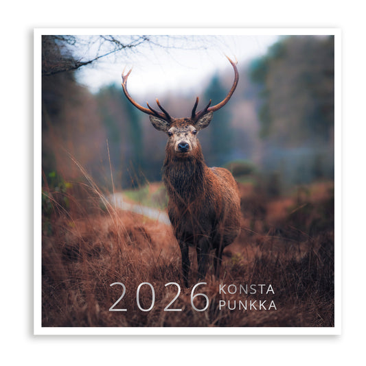 Seinäkalenteri 20x20 2026 Putinki Punkka