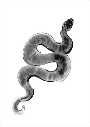 Postcard Teemu Järvi - Snake