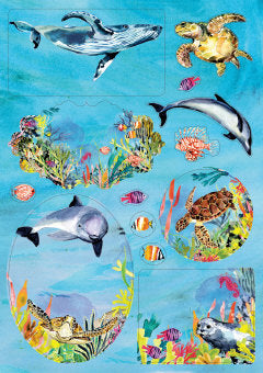Pakettitarrat Roger La Borde - Oceania