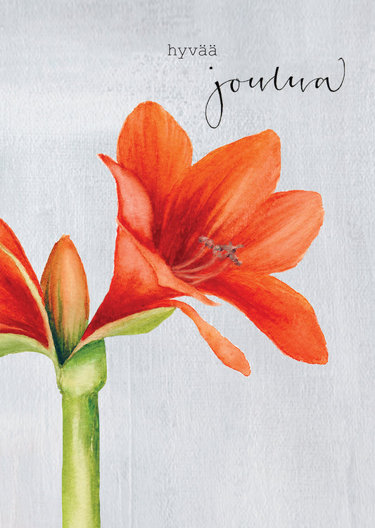 2-osainen joulukortti Henna Adel - Amaryllis punainen