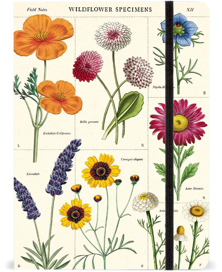 Notebook A5 Cavallini - Wildflowers