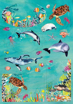 Pakettitarrat Roger La Borde - Oceania