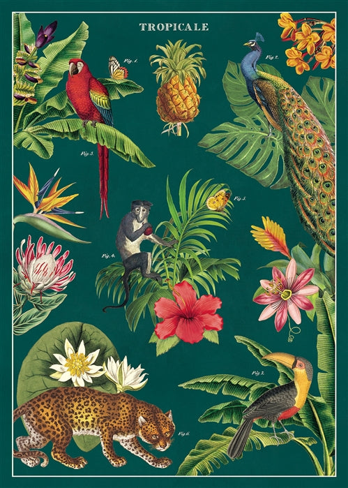 Poster Cavallini - Tropicale