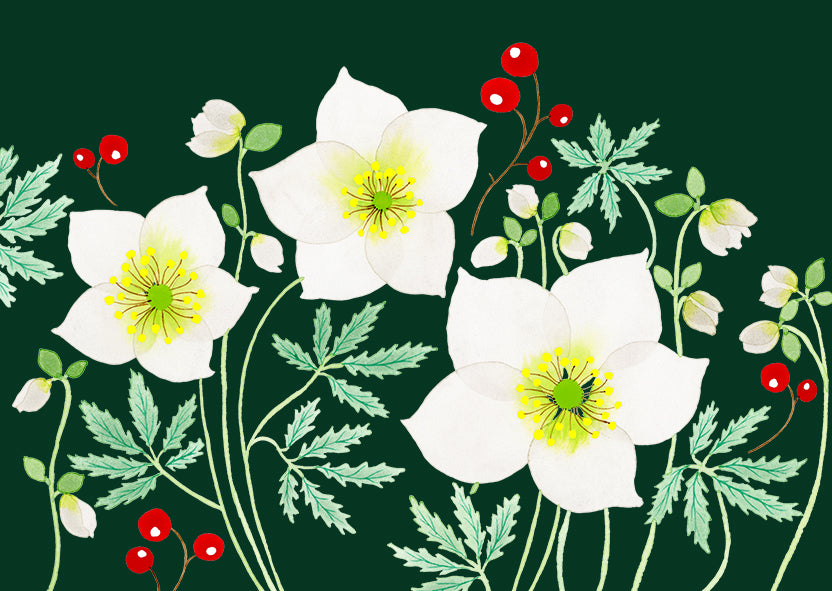 2-part Christmas card Anna Emilia - White Christmas flowers