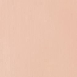 Liquitex Basics 118ml Acrylic Color - 810 Light Pink