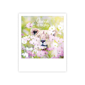 Postcard Pickmotion - Queen of the day