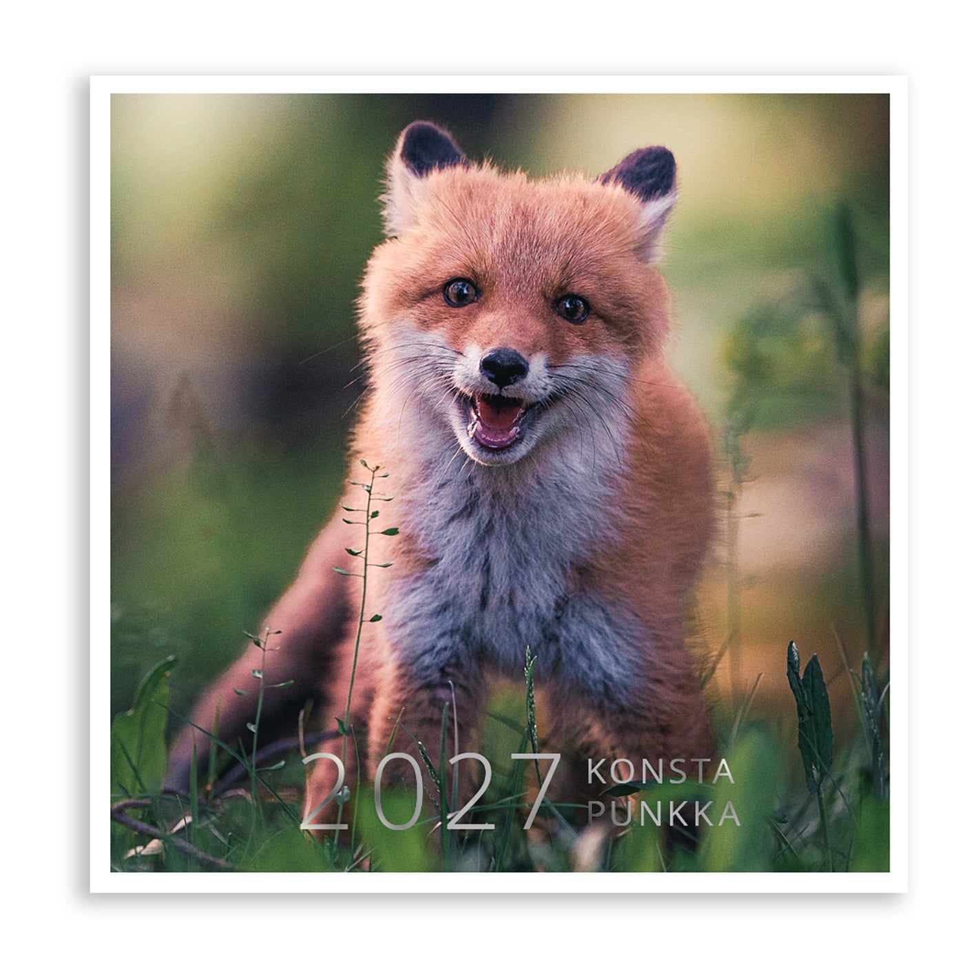 Seinäkalenteri 20x20 2027 Putinki Punkka