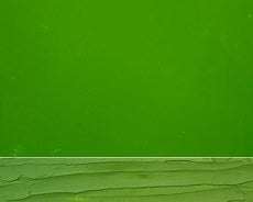 LB Fine Oil 40ml 556 Light green, öljyväri