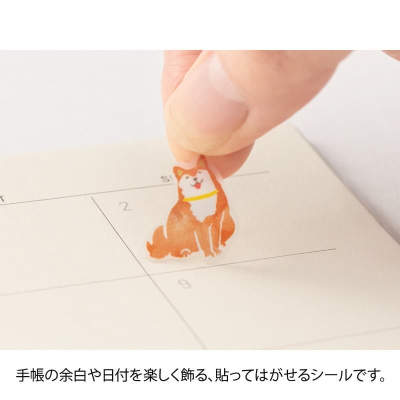 Tarrasetti Midori - Color brown