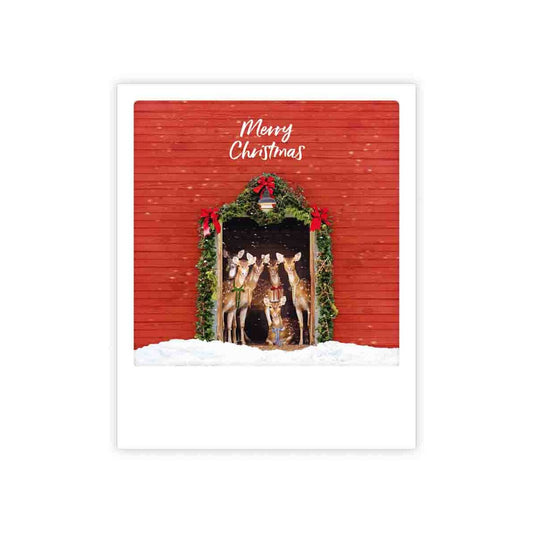 Christmas card Pickmotion - Deer