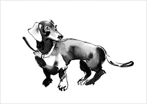 Postcard Teemu Järvi - Dachshund