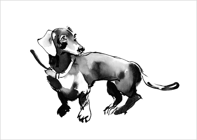 Postcard Teemu Järvi - Dachshund