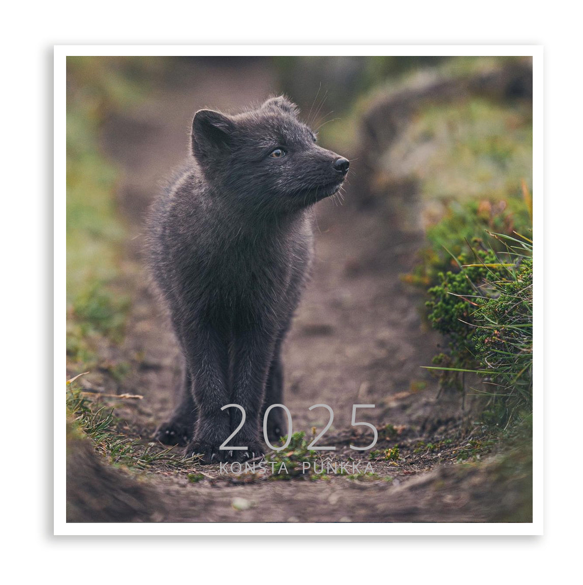 Small wall calendar - Konsta Punkka 2025