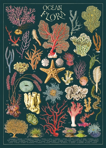 Poster Cavallini - Ocean Flora