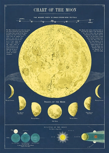 Poster Cavallini - Moon chart