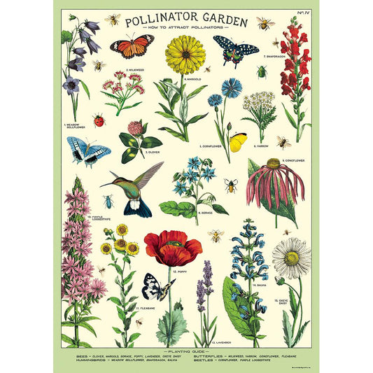 Juliste Cavallini - Pollinators
