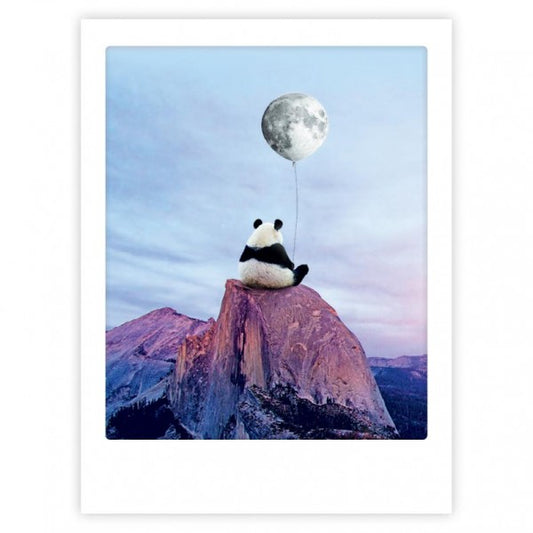 Juliste Pickmotion - Moon Panda