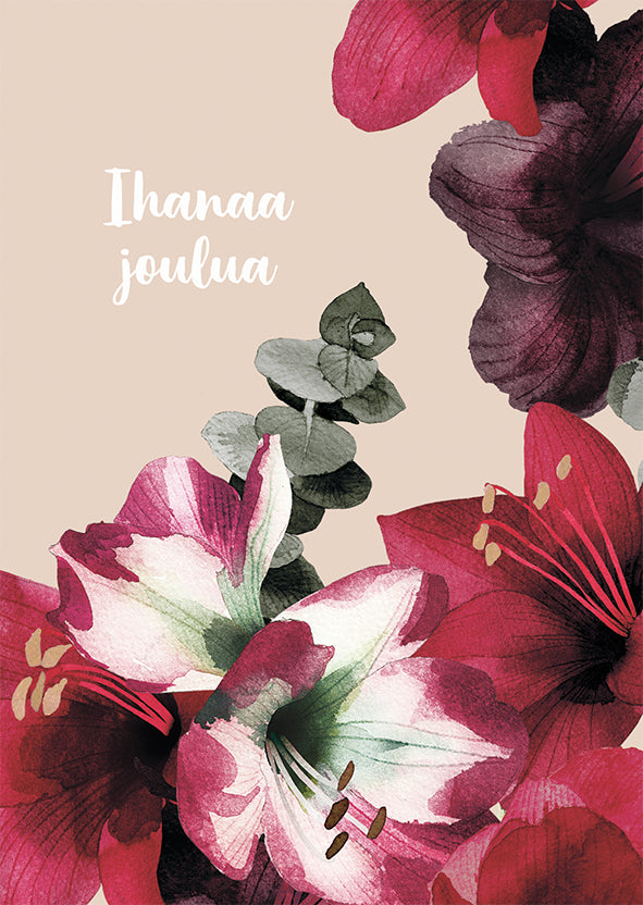 Joulukortti Pentik - Amaryllis, ihanaa joulua