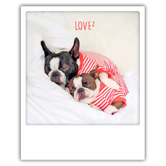 Postikortti Pickmotion - Love, koirat nukkuu