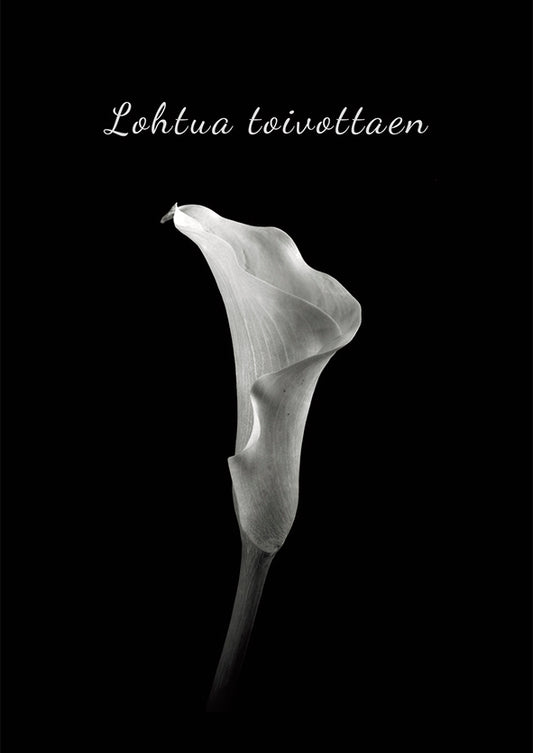 Mourning card Aleksi Cushion - Kalla