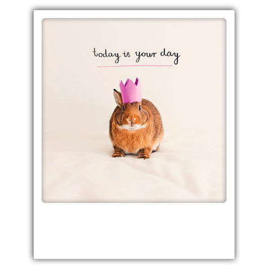 Postcard Pickmotion - Today is your day, bunny