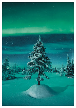 Postcard Konsta Punkka - Spruce and northern lights