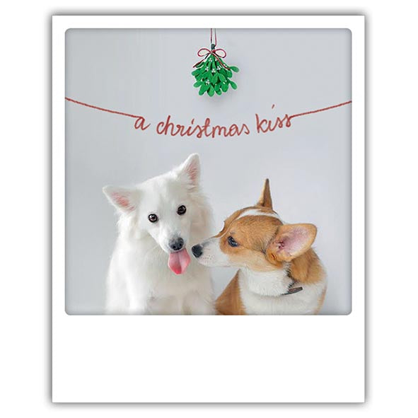 Christmas card Pickmotion - A christmas kiss, Christmas dogs