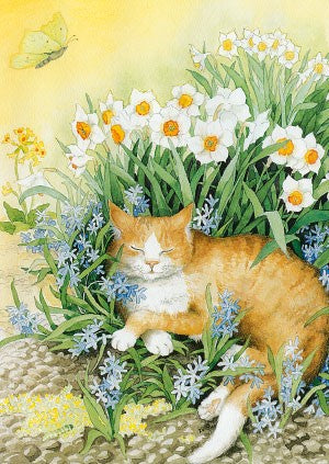 Inge Löök postcard - Cat and daffodils