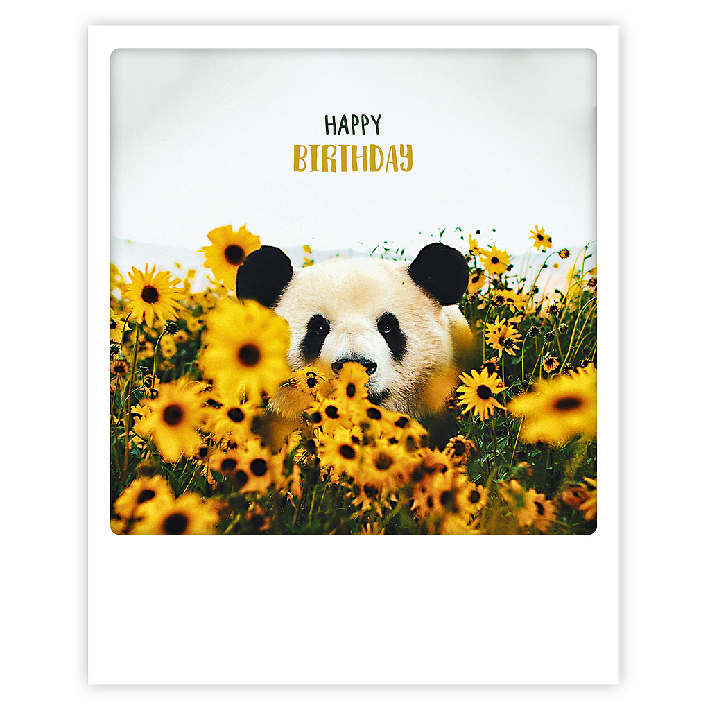 Postikortti Pickmotion - Happy birthday, panda