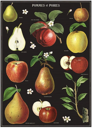 Juliste Cavallini - Apples & Pears