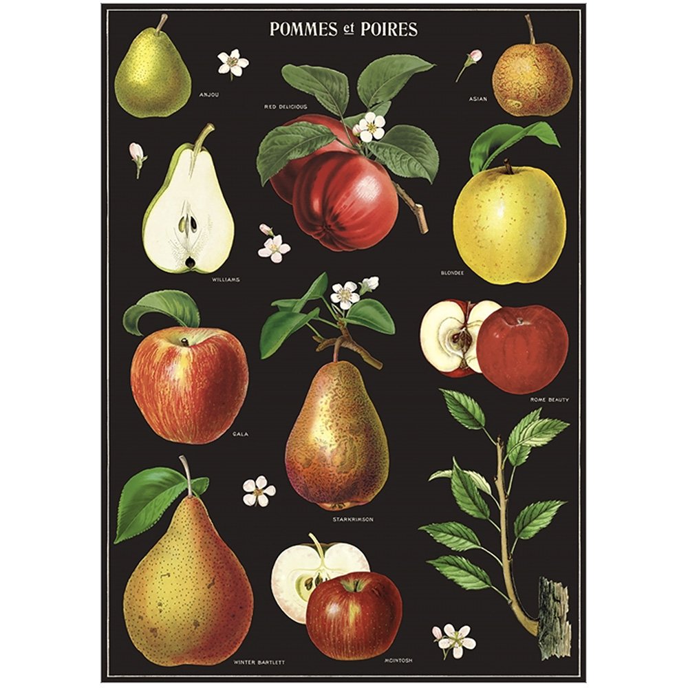 Juliste Cavallini - Apples & Pears