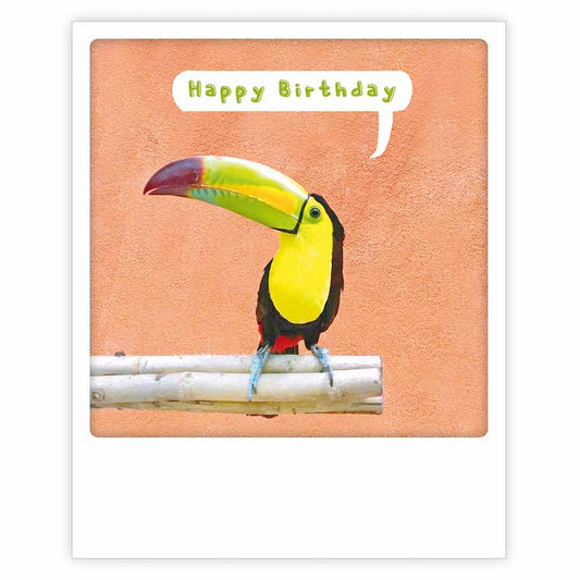 Postcard Pickmotion - Happy Birthday, toucan