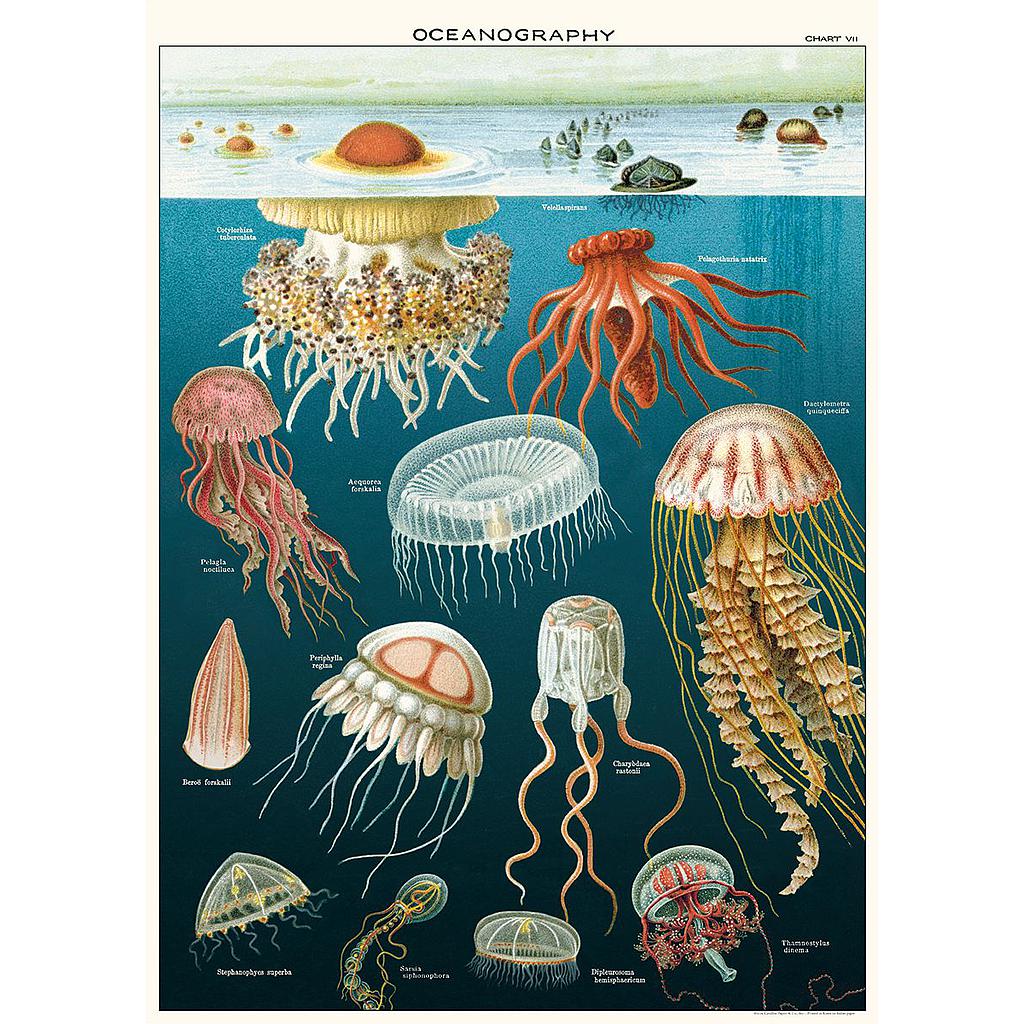 Juliste Cavallini - Jellyfish Oceanography