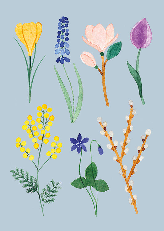 Postcard Polka Paper - Spring flowers