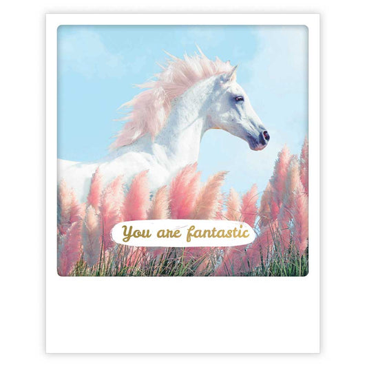 Postcard Pickmotion - Horse, You are Fantastic
