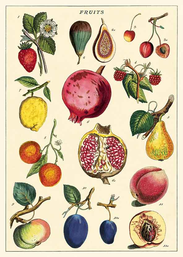 Juliste Cavallini - Fruit 2