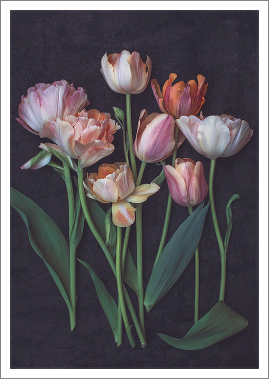 Postcard Crete Järvenpää - Tulips