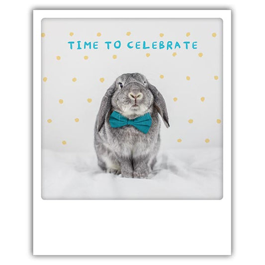 Postcard Pickmotion - Time to celebrate, bunny