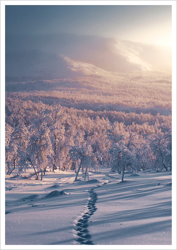 Postcard Konsta Punkka - Snowy path