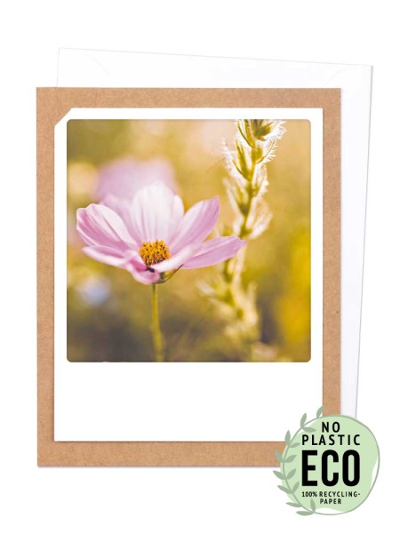 2-osainen kortti Pickmotion - Vaaleanpunainen kukka niityllä