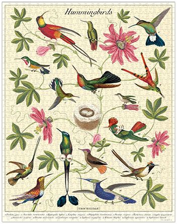 Puzzle Cavallini - Hummingbirds