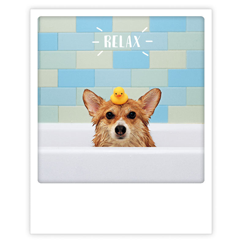Postikortti Pickmotion - Relax, koira kylpyammeessa