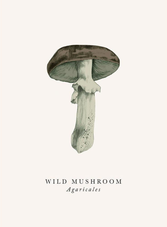 2-part card The Art File - Book and Botanics, Wild mushroom
