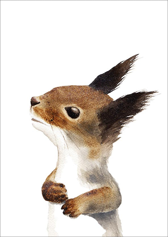 Postcard Henna Adel - Squirrel