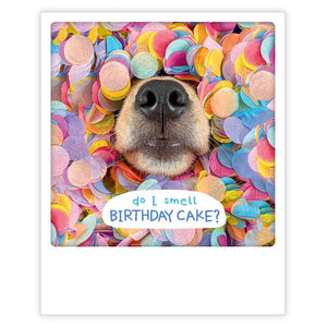 Postcard Pickmotion - Birthday cake, muzzle