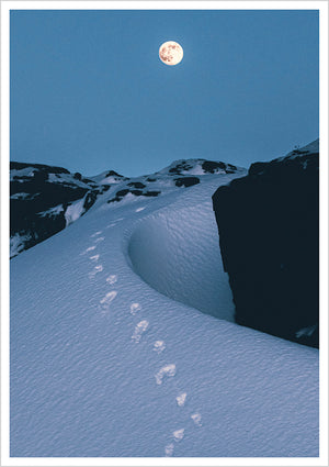 Postcard Konsta Punkka - Winter Night